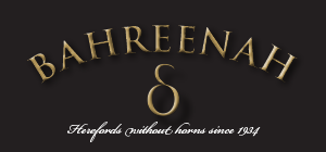 Bahreenah Logo